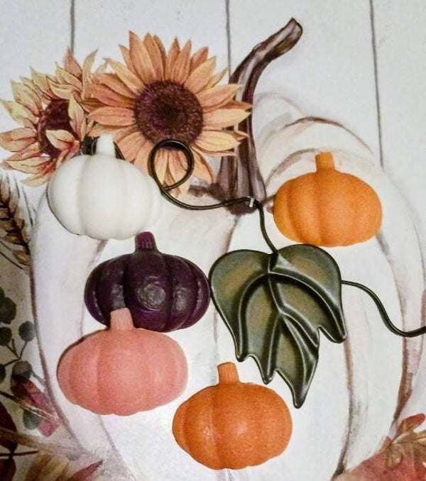 Pumpkin wax melts