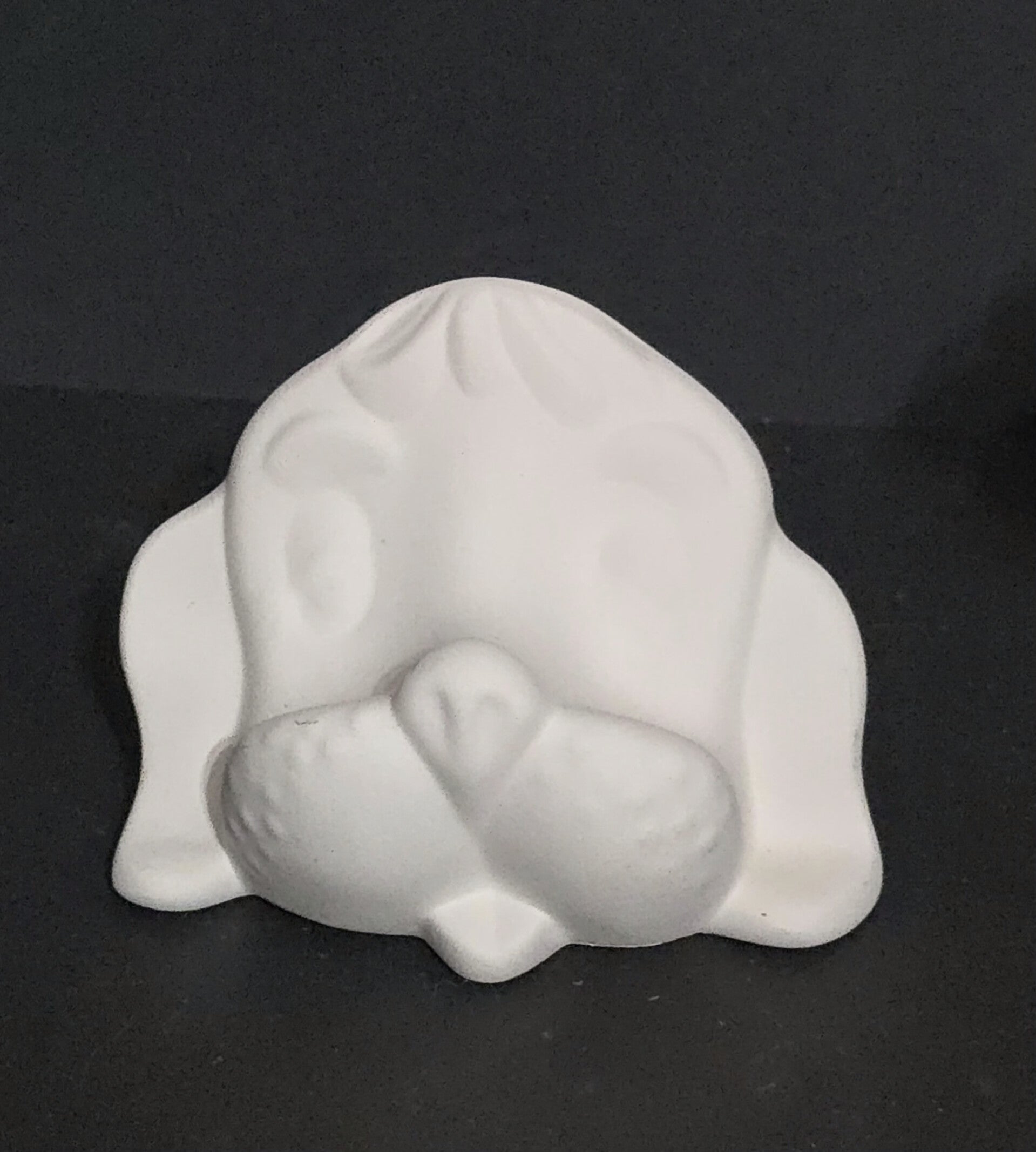 Face de chien porte lunette  #A165