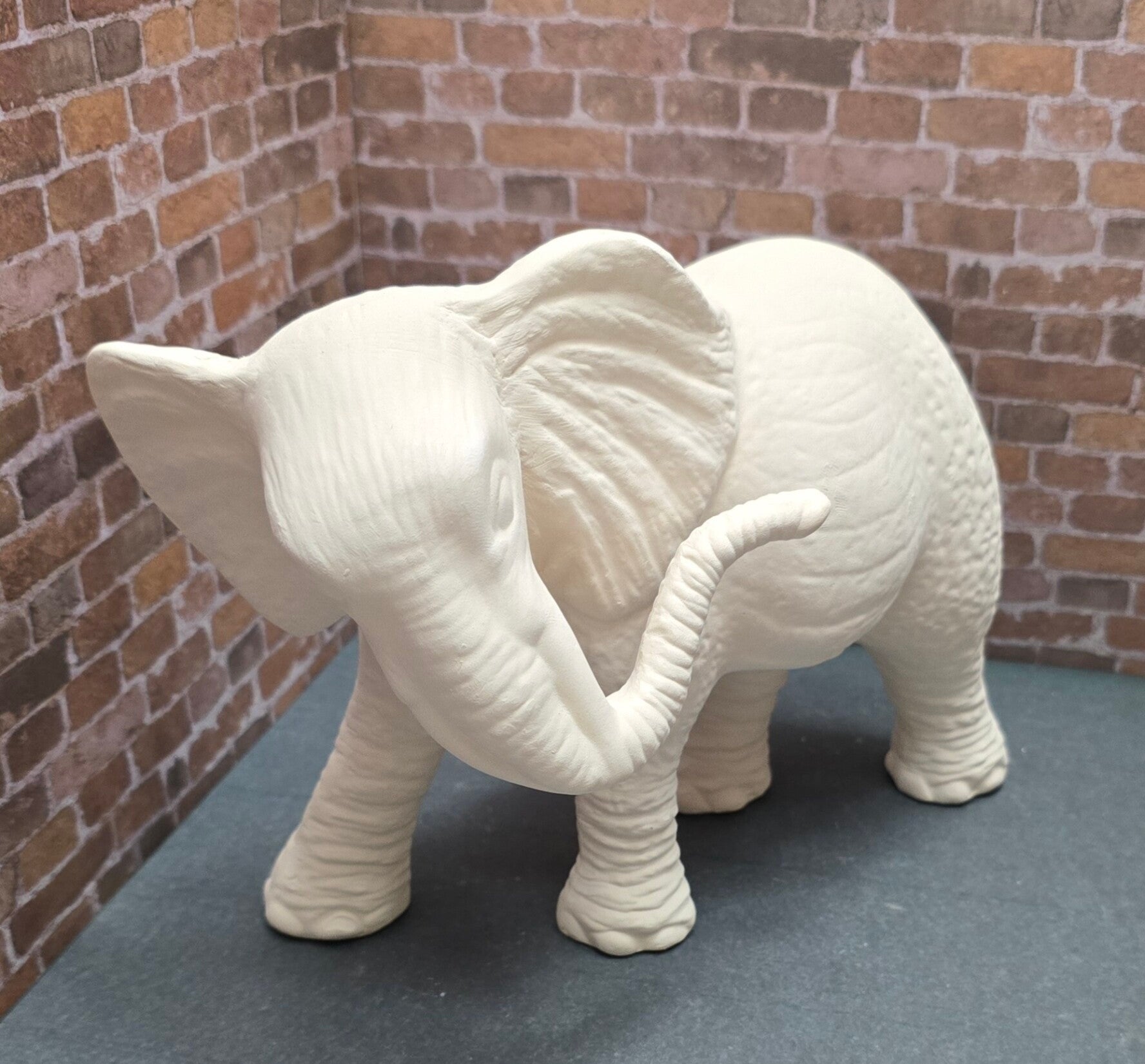 Éléphant trompe sur le coté