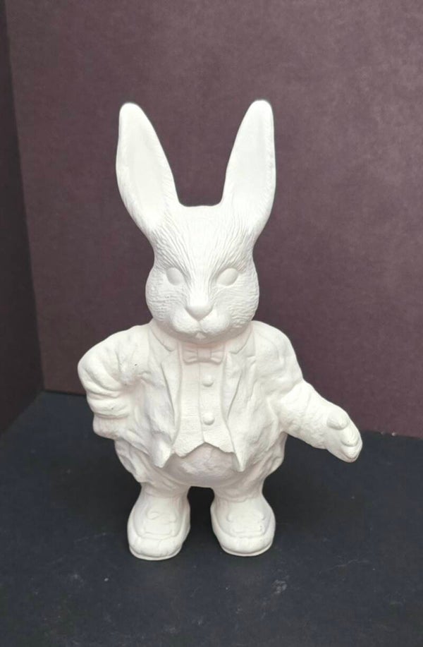 Lapin habillé