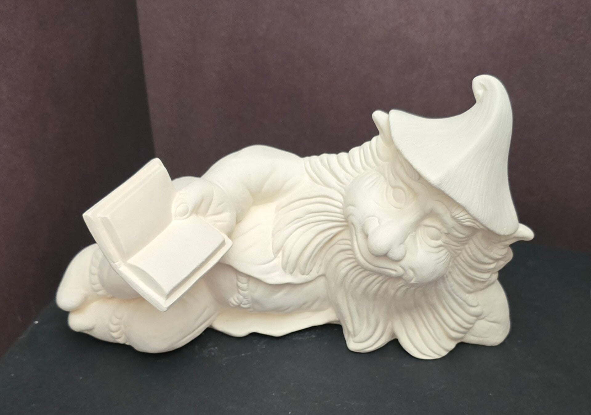 Gnome avec un livre #550