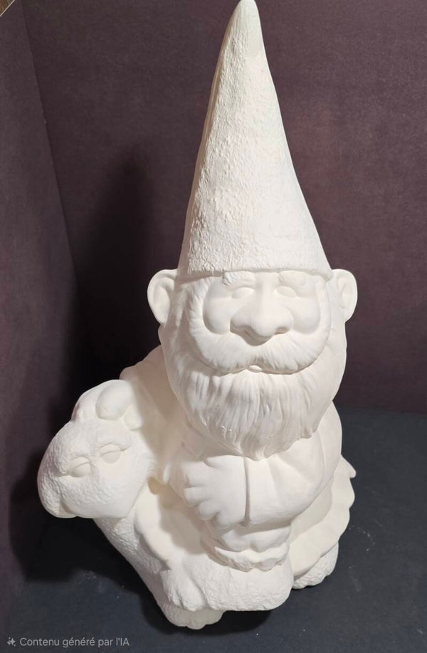 Gnome assit sur tortue #3957