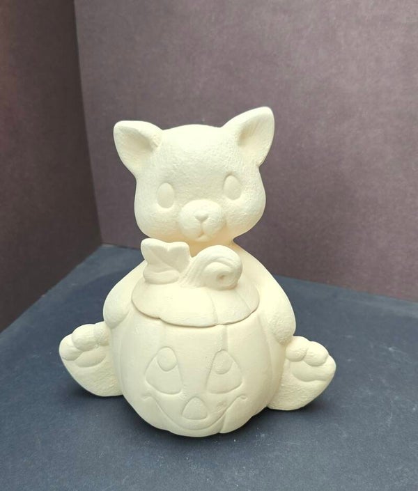 Chat avec pot de citrouille