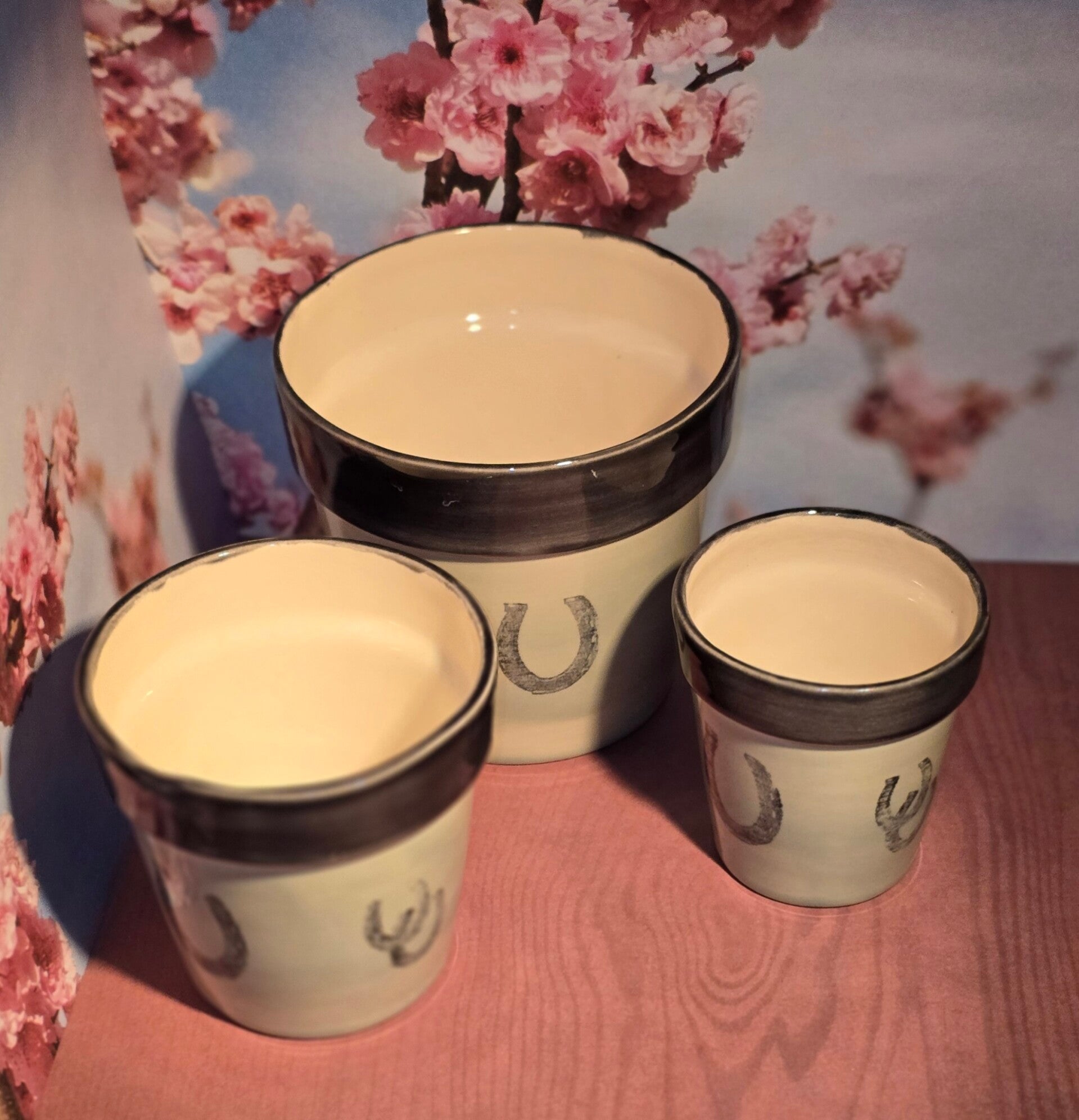 3 grandeurs pot fleur/ 3 sizes of flower pot