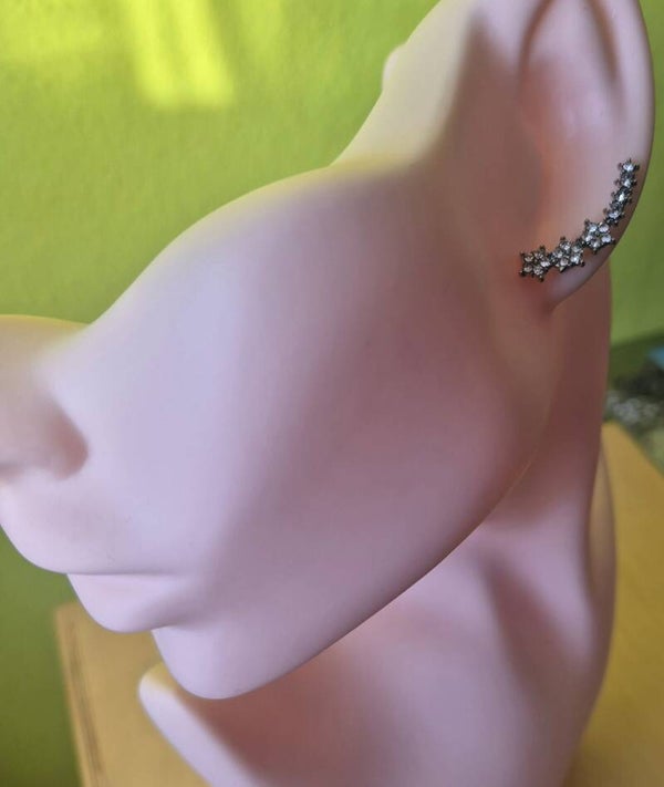 Mooie, gave oorbellen met strass steentjes.