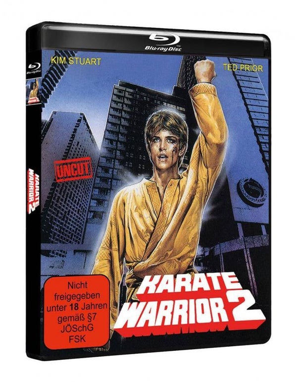 Karate Warrior 2 (Blu-ray)