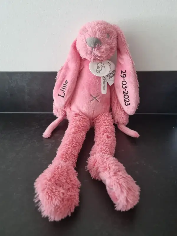 Muziekknuffel Rabbit Richie | Donker roze | Happy horse