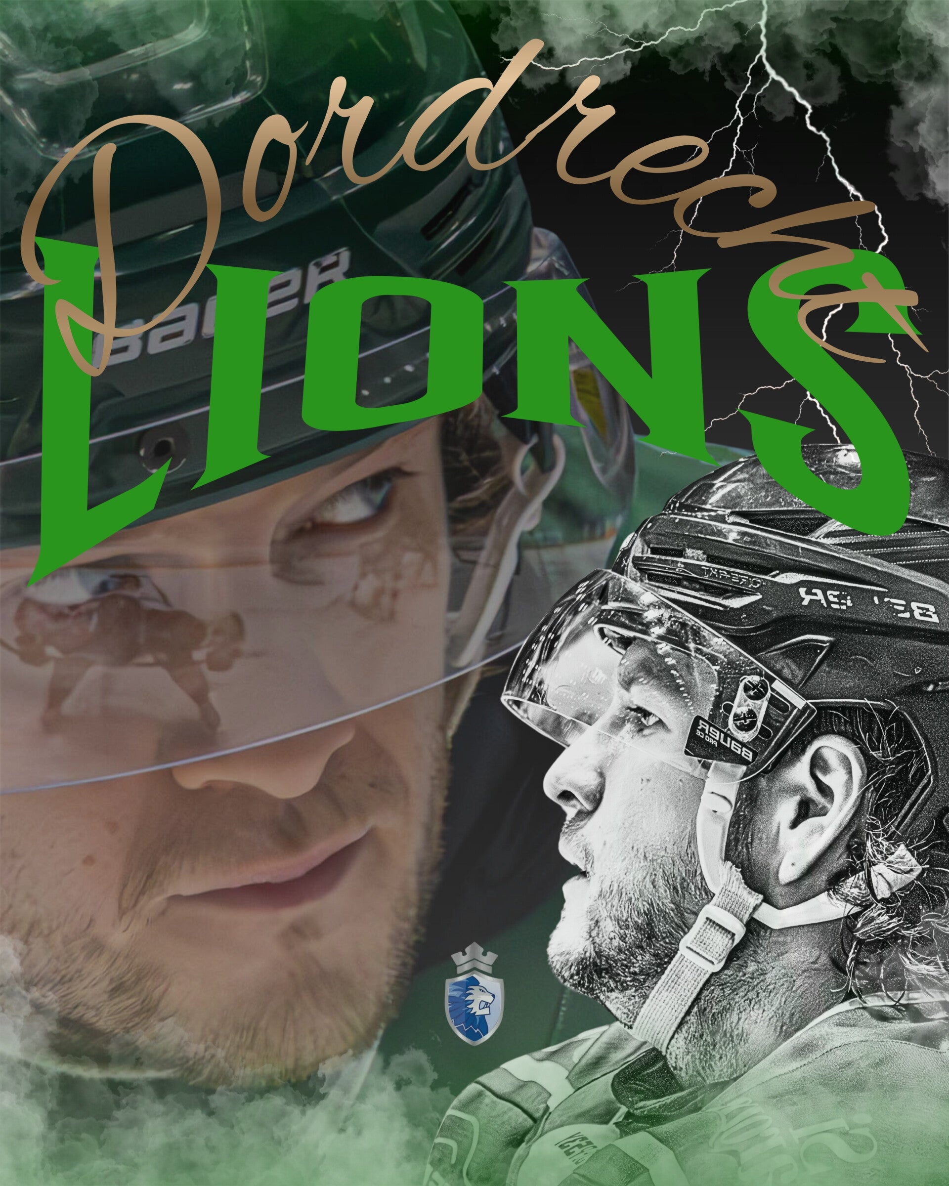 dordrecht-lions-standard.jpg