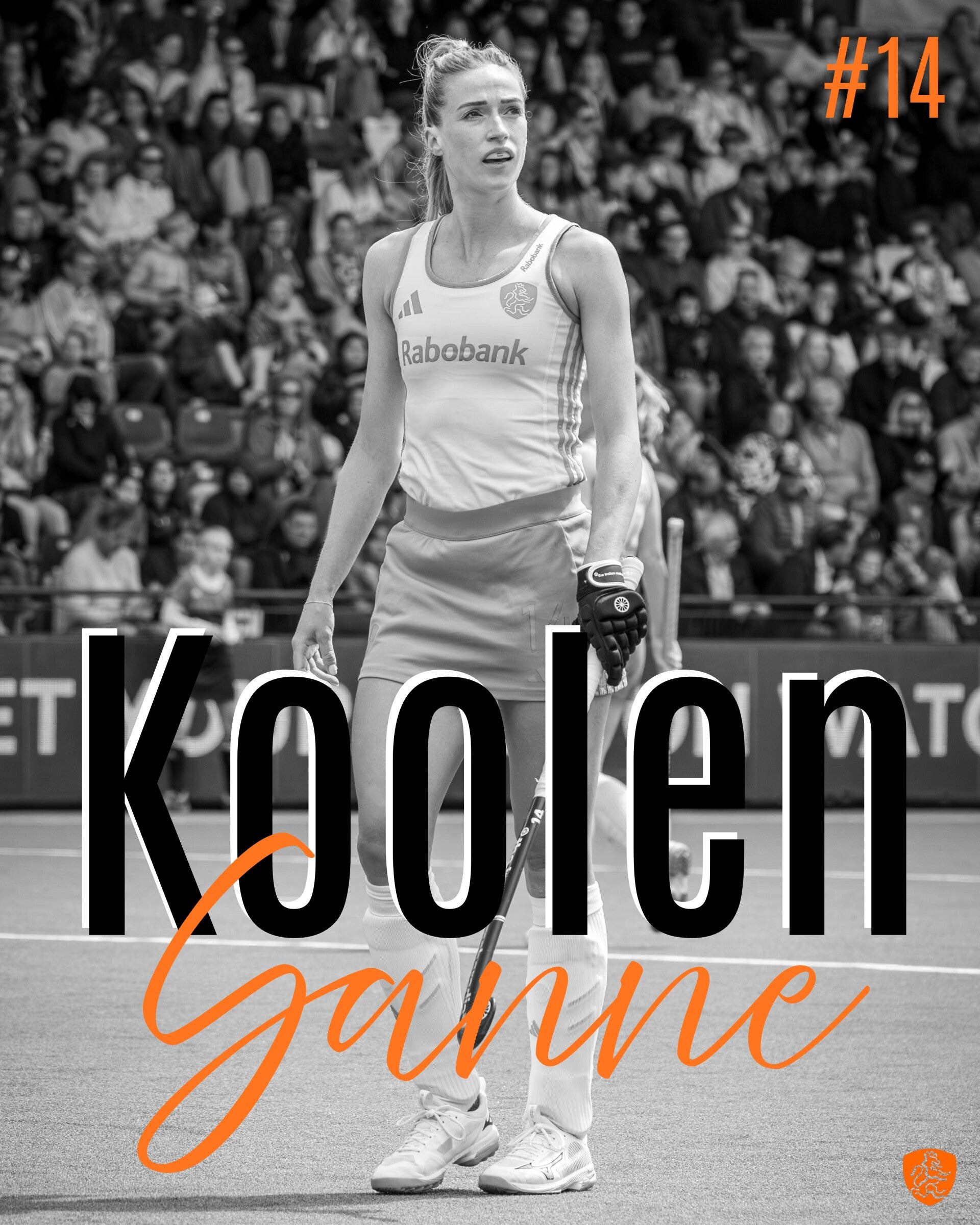 koolen-standard.jpg