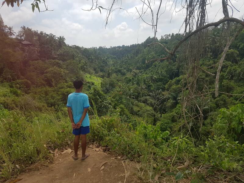Campuhan ridge walk Ubud