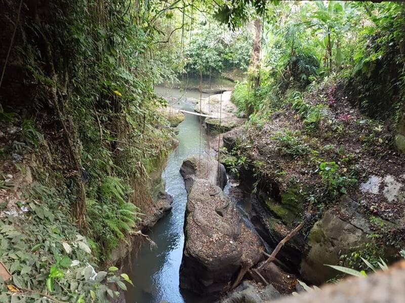 Campuhan ridge walk Ubud