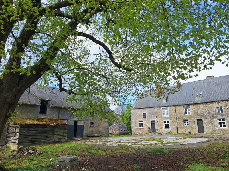 The old courtyard was thoroughly surveyed