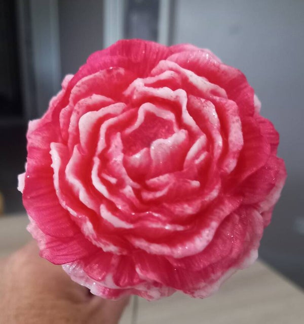 Grande rose
