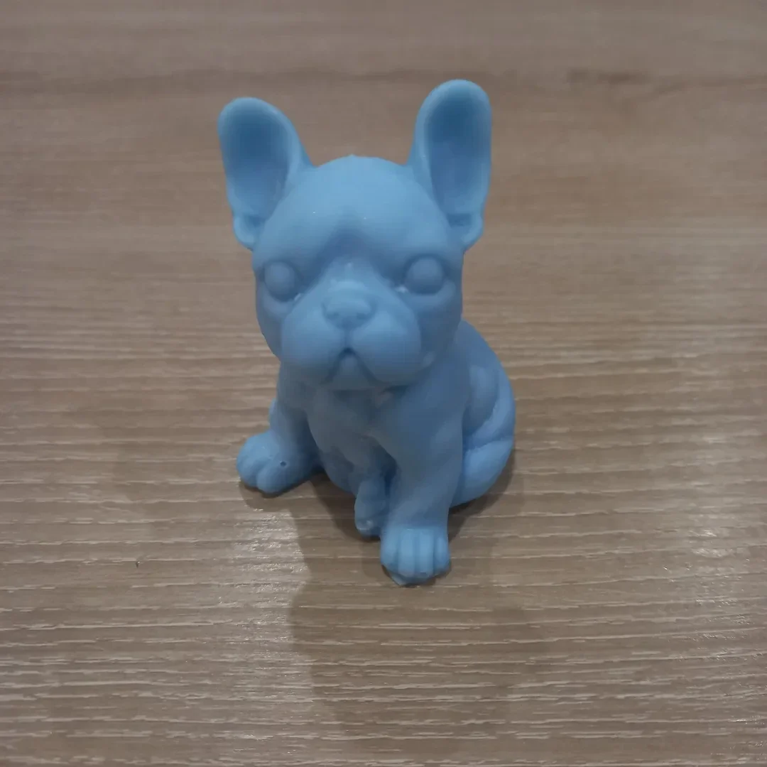 petit chien