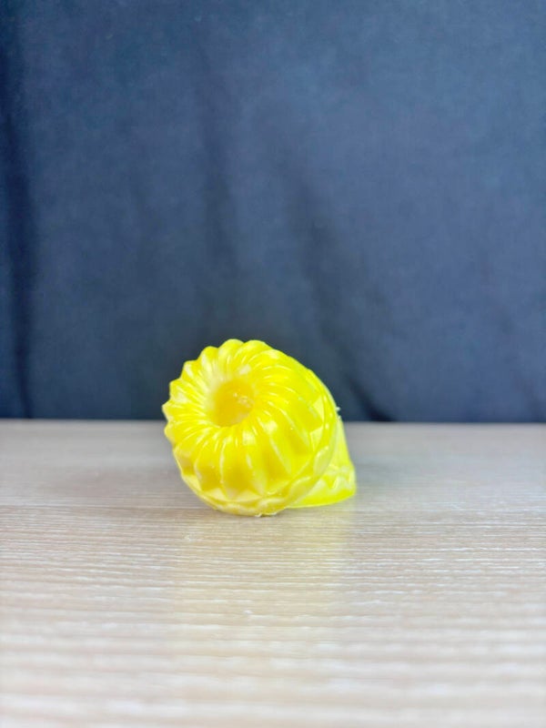 Monoï pêche