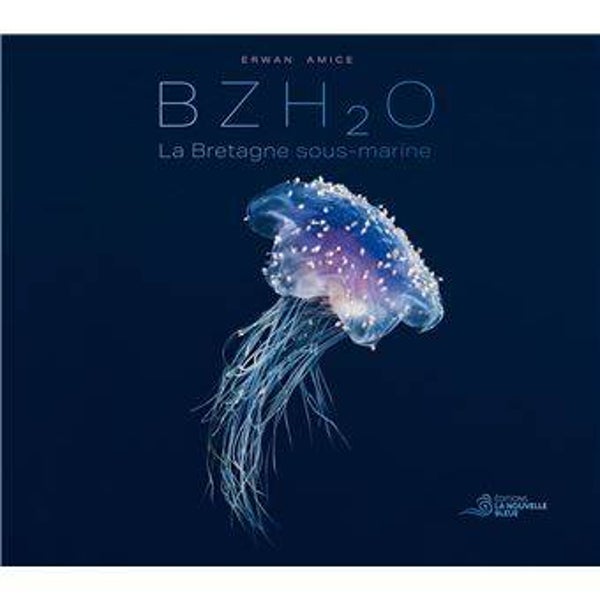 Bzh2o La Bretagne sous-marine