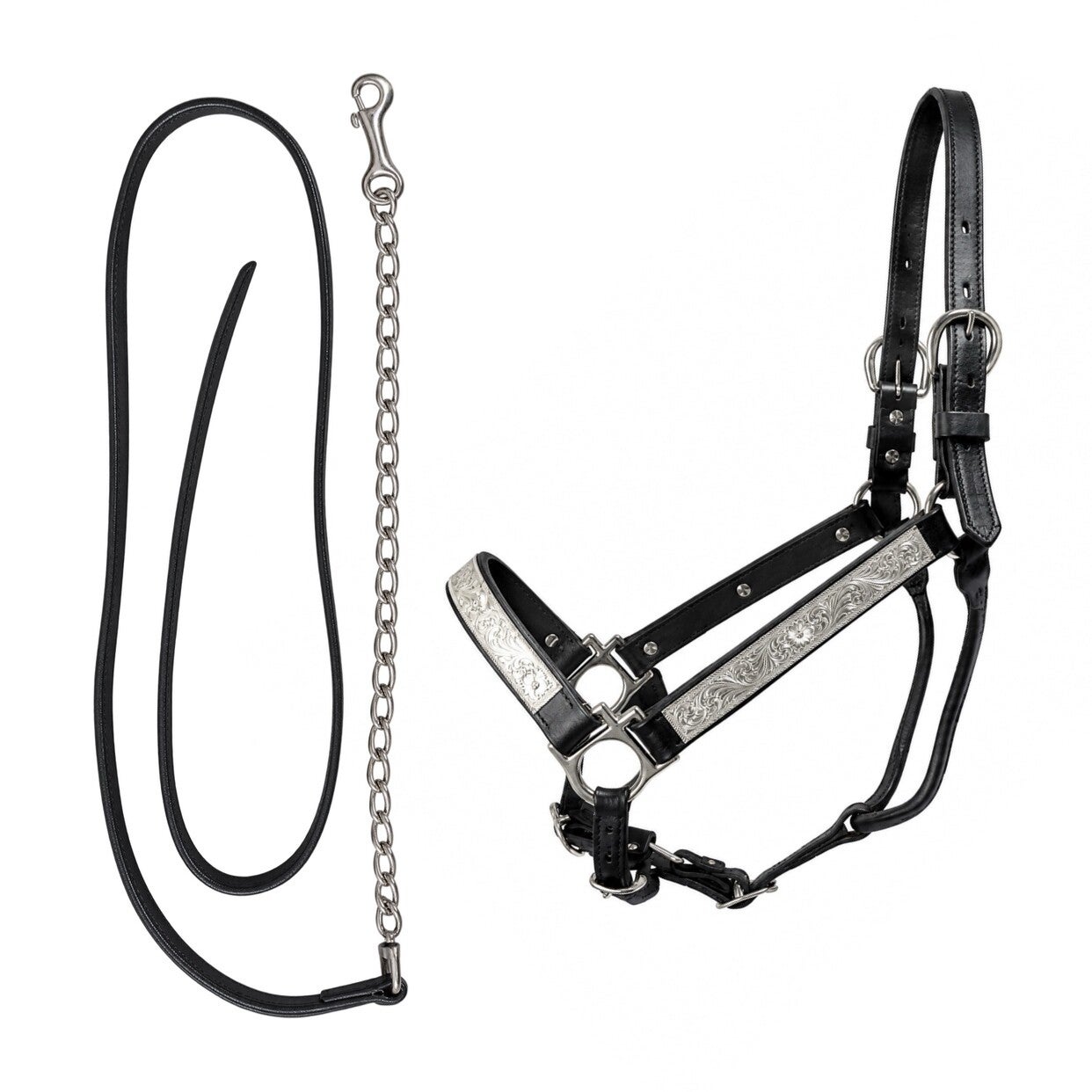 Zwart leren showhalster met leadrope