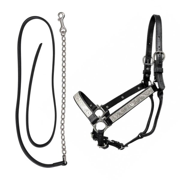 Zwart leren showhalster met leadrope