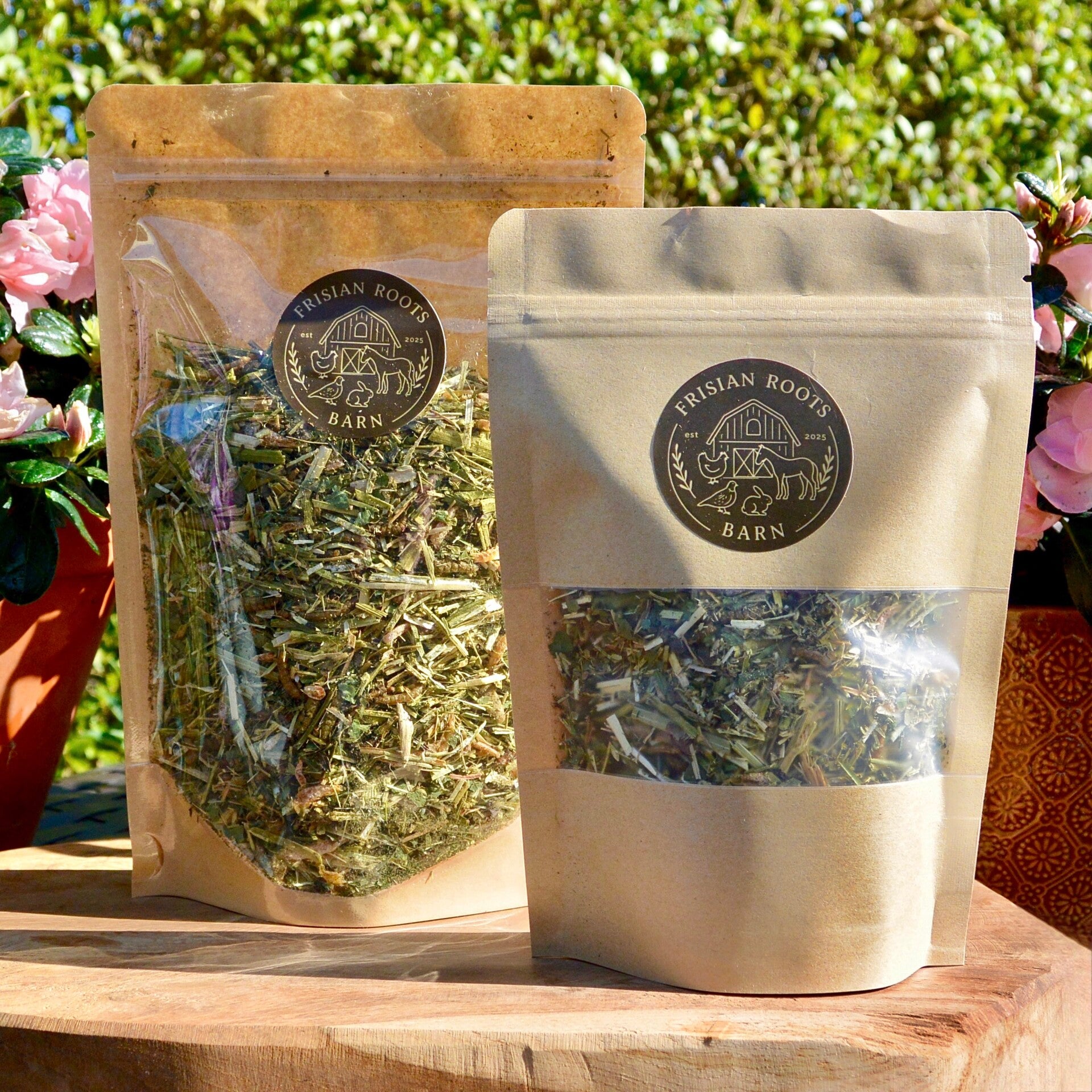 Protein Forage Mix | scharrelmix voor kippen & ander pluimvee