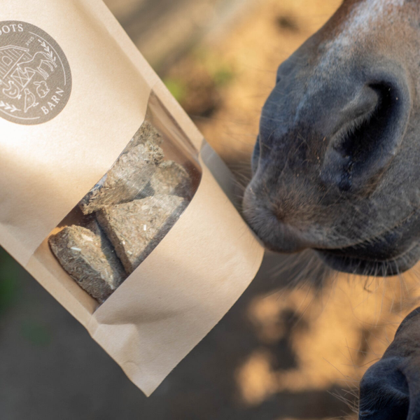 FRB Orchard Hearts | 100% natuurlijke appel-peer koekjes voor paarden, konijnen & knaagdieren