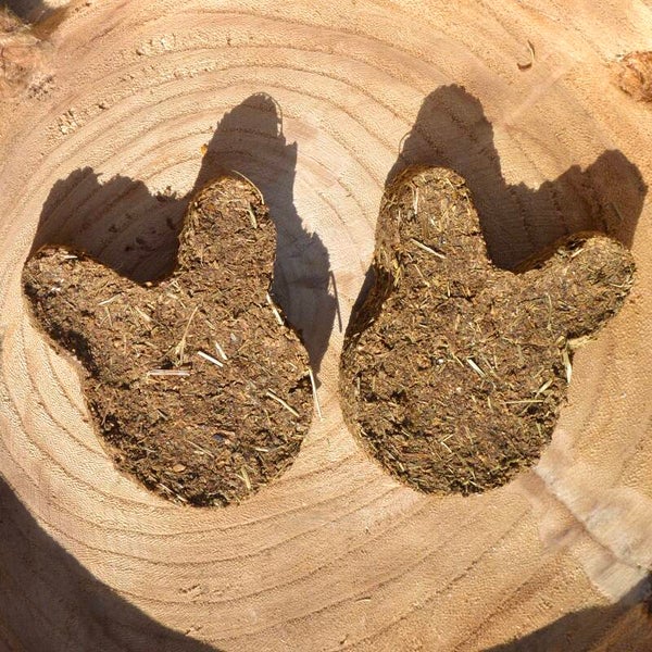 Appel-Peer koeken konijn (met pellets)