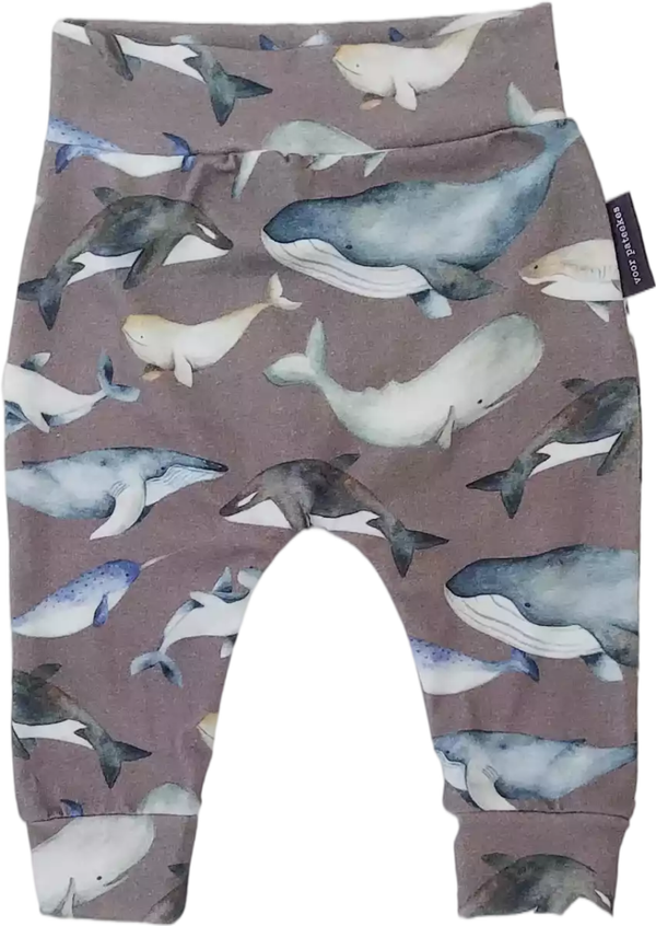 Harempants - Fish