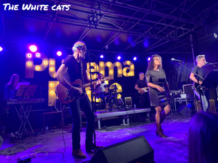 The White Cats