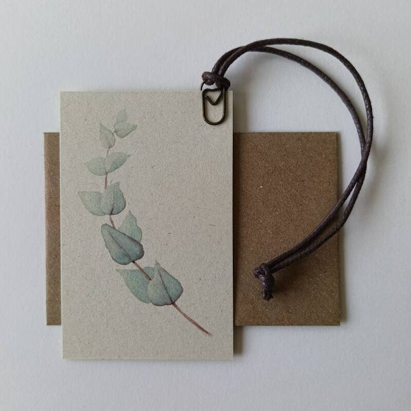 Minikaartje Eucalyptus