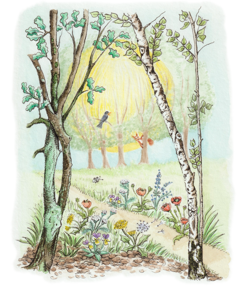Zielsillustratie van een bos met bloemen en de zon.