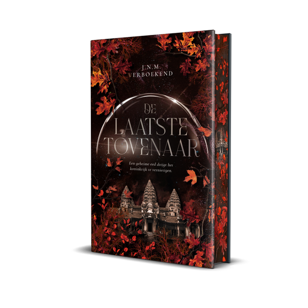 de Laatste tovenaar/ sprayededges