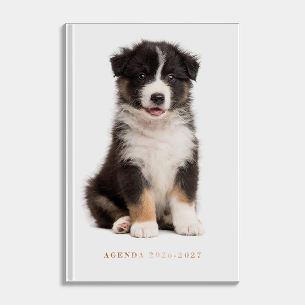 Schooljaaragenda 2026-2027 Hobbit A5 Honden