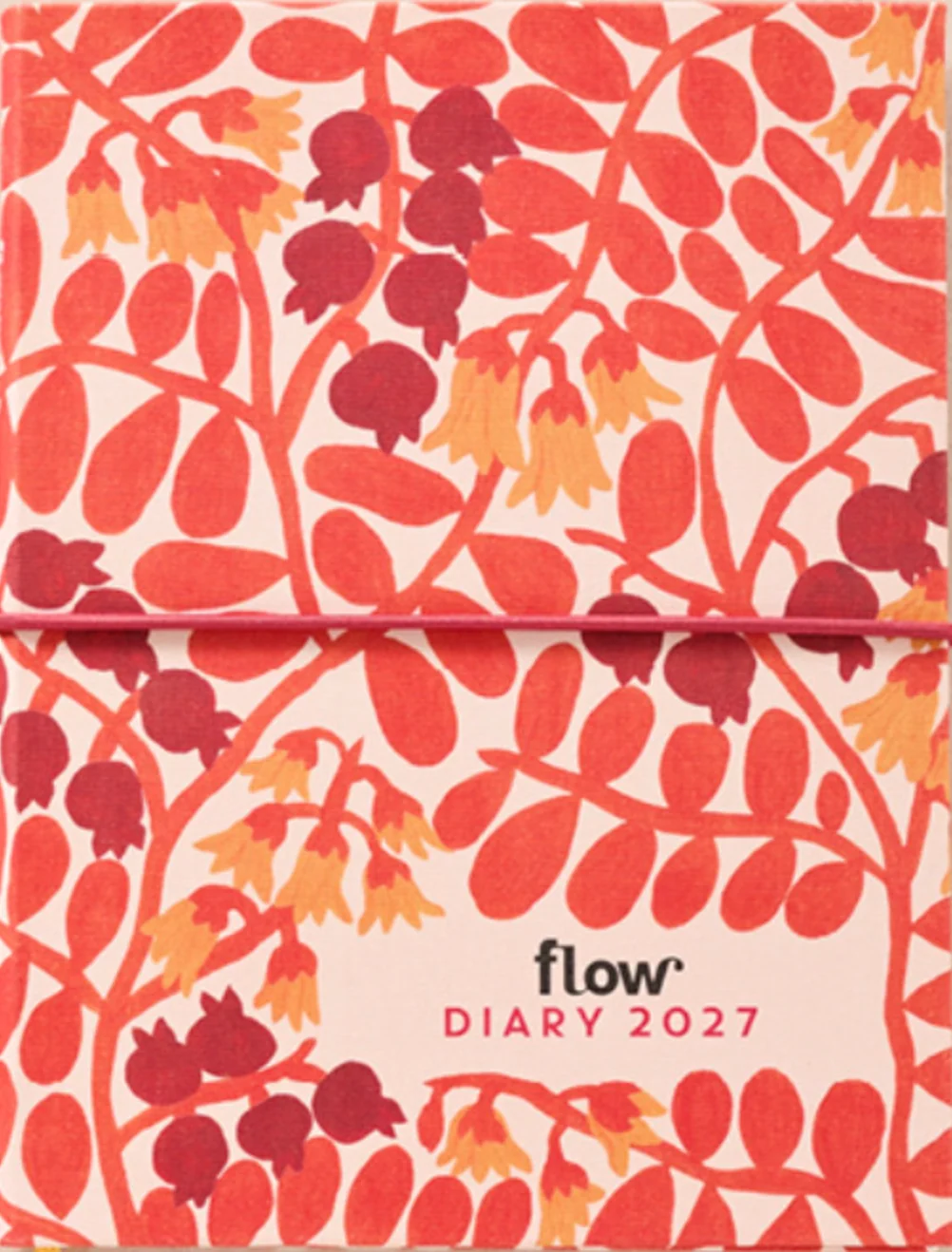 Agenda 2027 Flow magazine