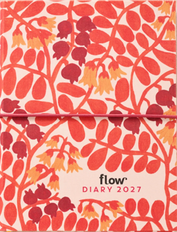 Agenda 2027 Flow magazine
