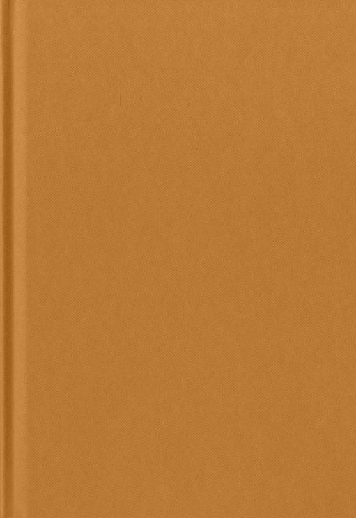 Blanco boek / Dummie A4 cognac