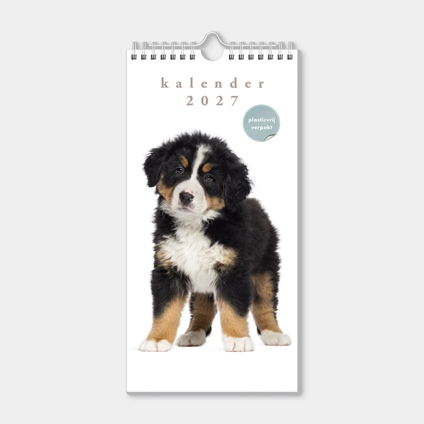 Minikalender 2027 Honden