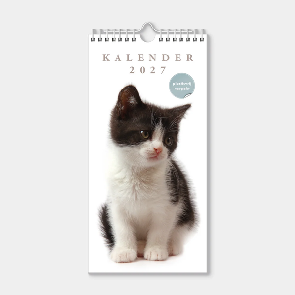 Minikalender 2027 Katten