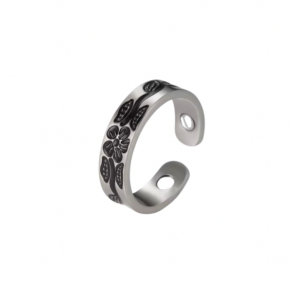Magnetring