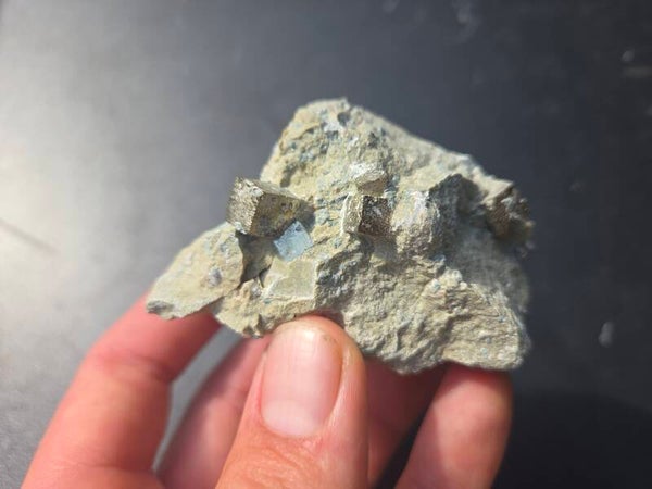 Pyriet Navajun, Spanje