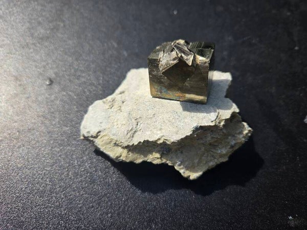 Pyriet Navajun, Spanje