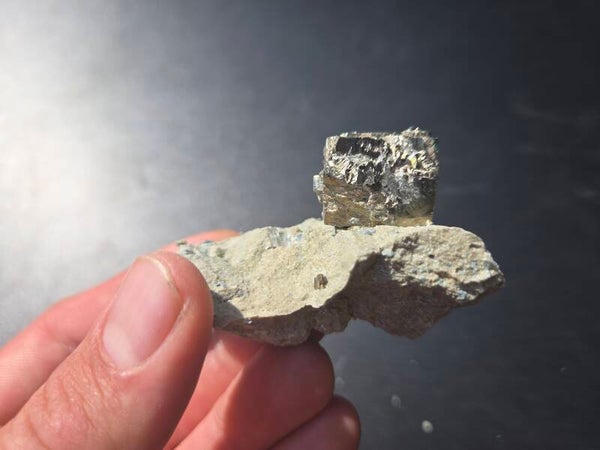 Pyriet Navajun, Spanje