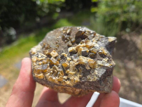 Bariet Jenikov, Tsjechië