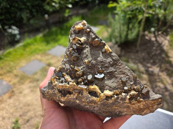 Bariet Jenikov, Tsjechië