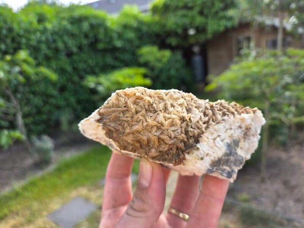 Dolomiet, Jelsava, Slowakije