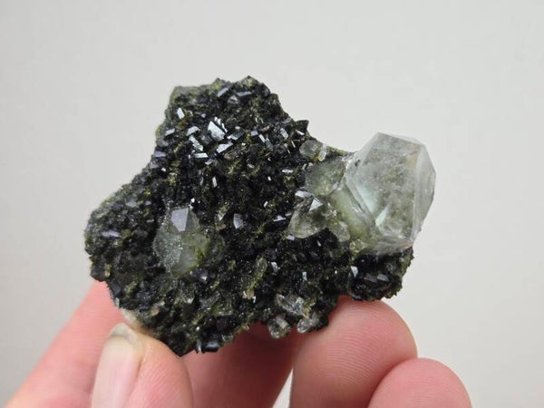 Epidoot met Kwarts Turkije