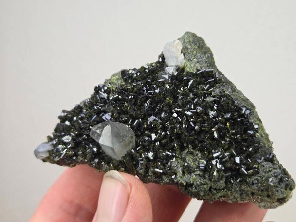 Epidoot met Kwarts Turkije