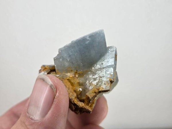 Blauwe Bariet Spanje