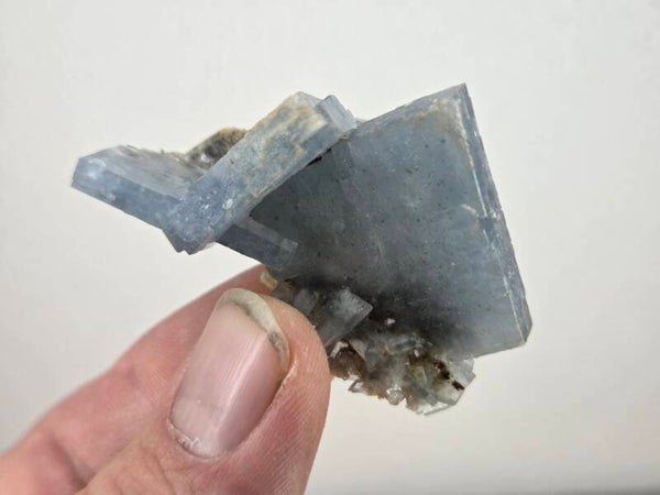 Blauwe Bariet Spanje