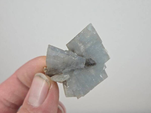 Blauwe Bariet Spanje