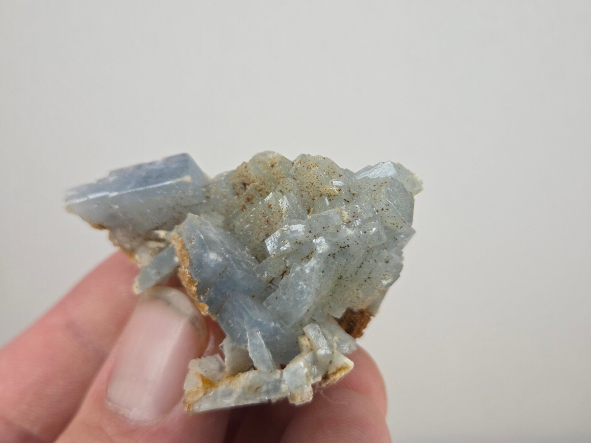 Blauwe Bariet Spanje