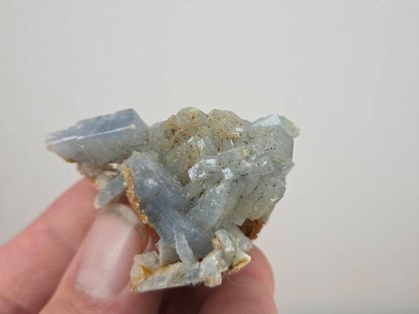 Blauwe Bariet Spanje